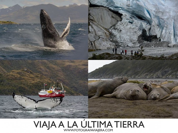 FotografaViajera  - Conéctate con la Naturaleza Profunda...Observación y Fotografía