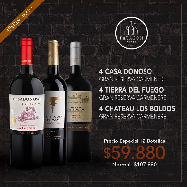 Patagon Wines - Gran Reserva Carmenere - 45% dcto