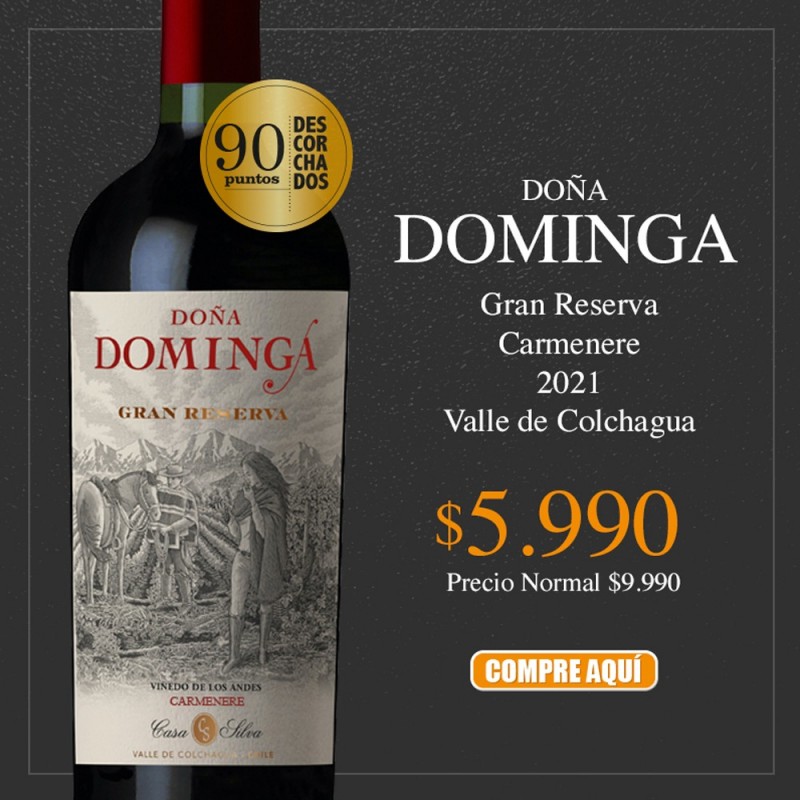 Patagon Wines - DoÃ±a Dominga Gran Reserva