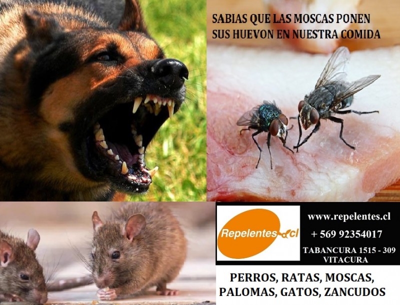 Ahuyentadores Ultrasonico NO VENENO - MOSCAS, RATAS, PERROS, ZANCUDOS