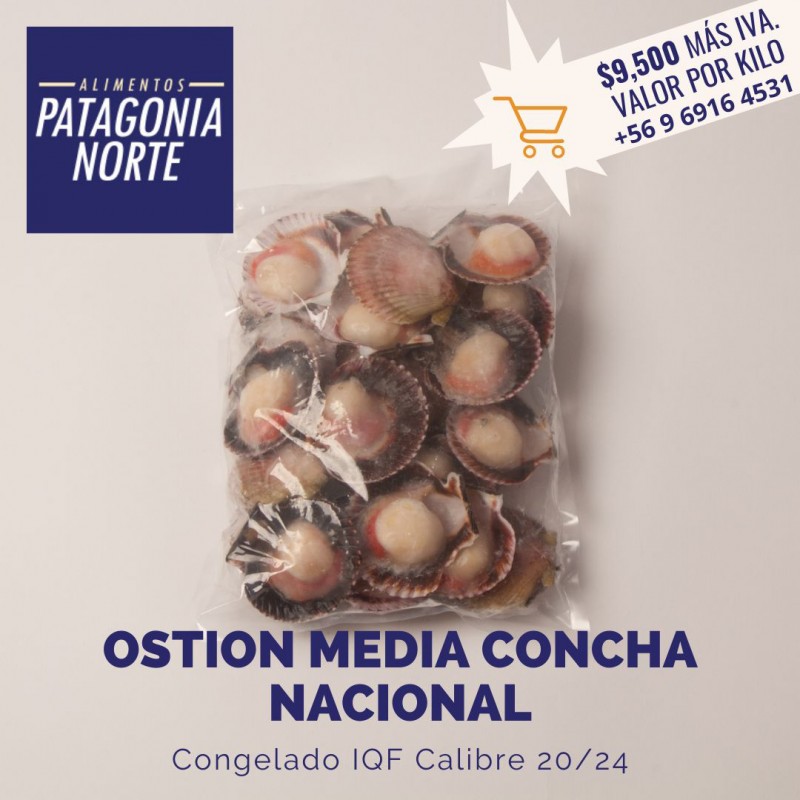 Alimentos Patagonia Norte - OstiÃ³n media concha 9.500 MAS IVA