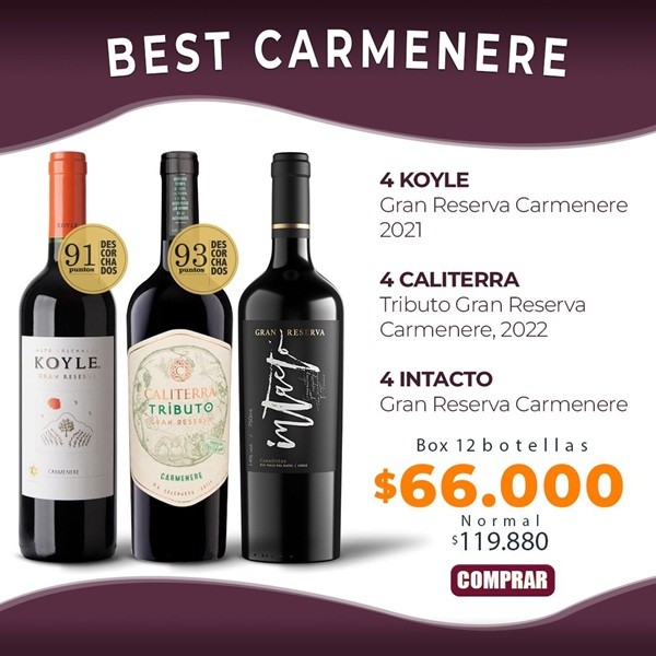 Patagon Wines - Solo Gran Reserva Carmenere