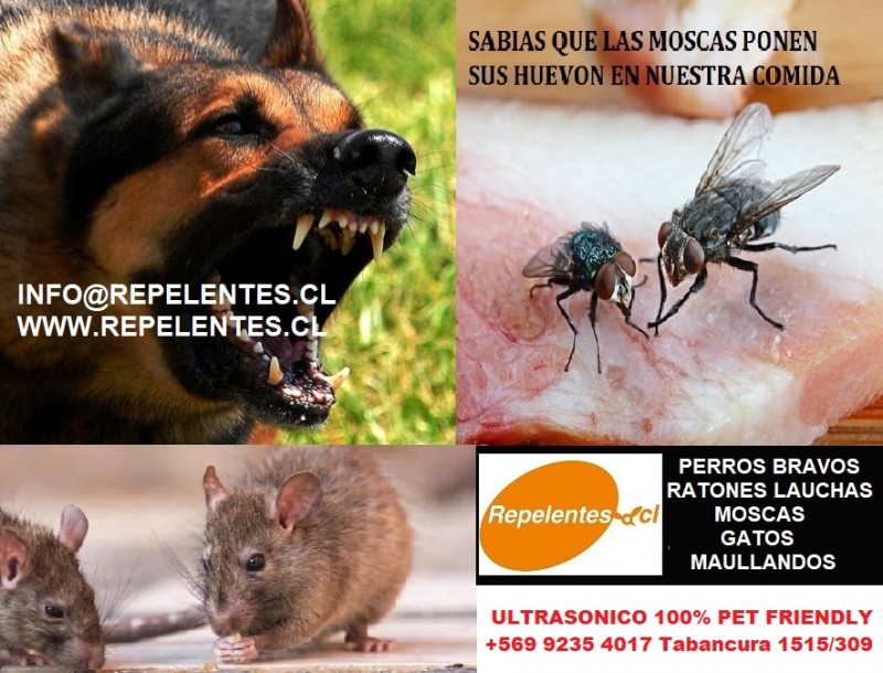 Repelente Ahuyentadores de Animales Plagas - Elimina Plagas Ultrasonico Garantizado