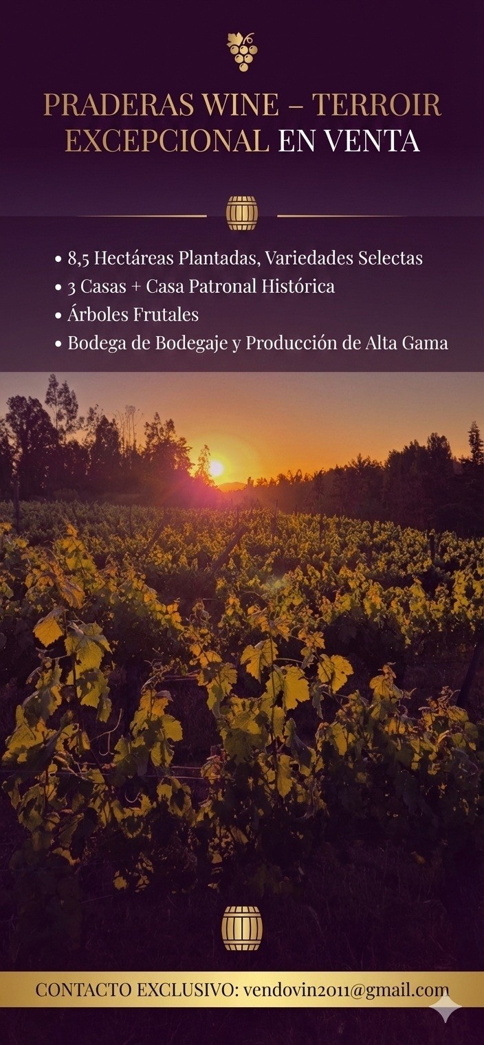 Praderas Wines - Viña Terroir en venta