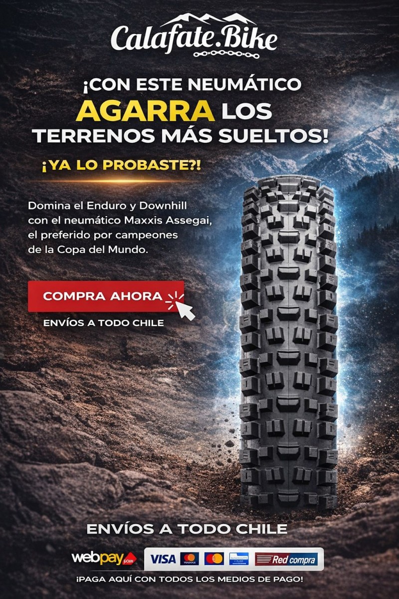Mountain Bike - Neumáticos que te acompañan